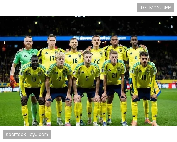 瑞典国家队公布新一期阵容，备战国际赛事引关注
