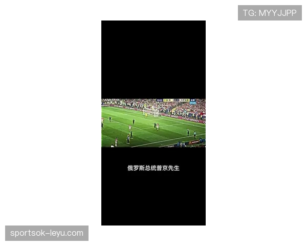 博格巴战术适配性重塑球队布局，其影响力与未来前景引关注