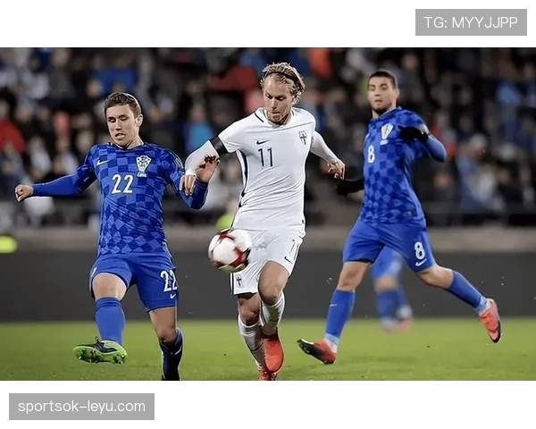 欧洲杯预选赛格鲁吉亚表现稳健，竞争力持续提升