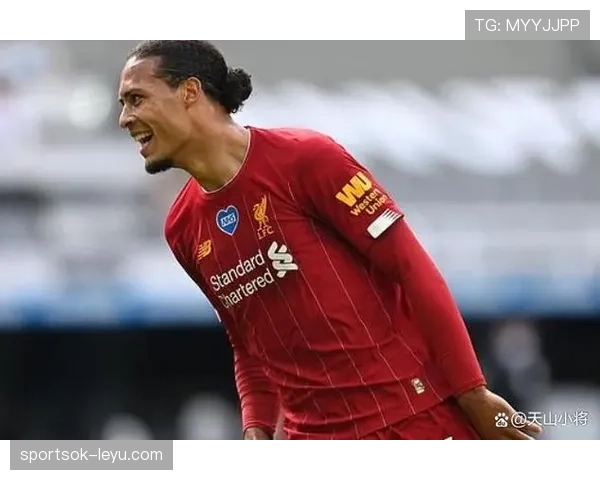 范戴克南安普顿生涯回顾