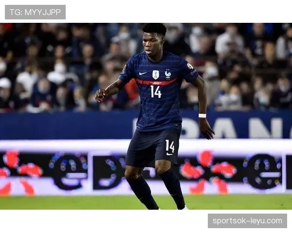 琼阿梅尼世界杯防守覆盖与中场控制力解析 琼阿梅尼世界杯防守覆盖与中场控制力解析